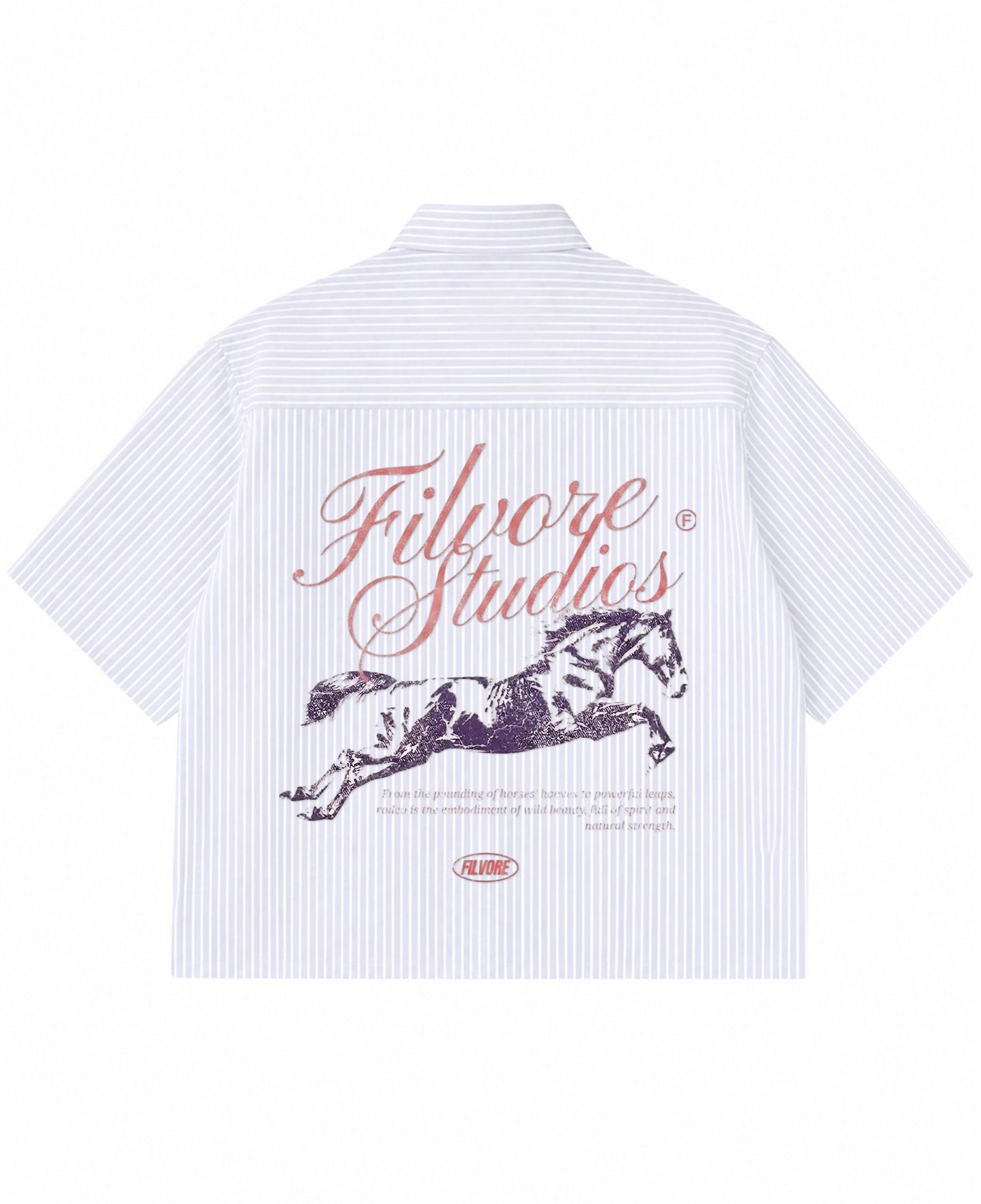 Blue Striped Oxford Boxy Shirt Back Design