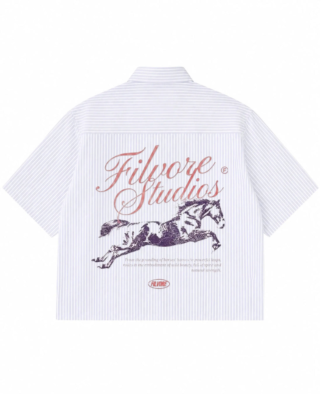 Blue Striped Oxford Boxy Shirt Back Design