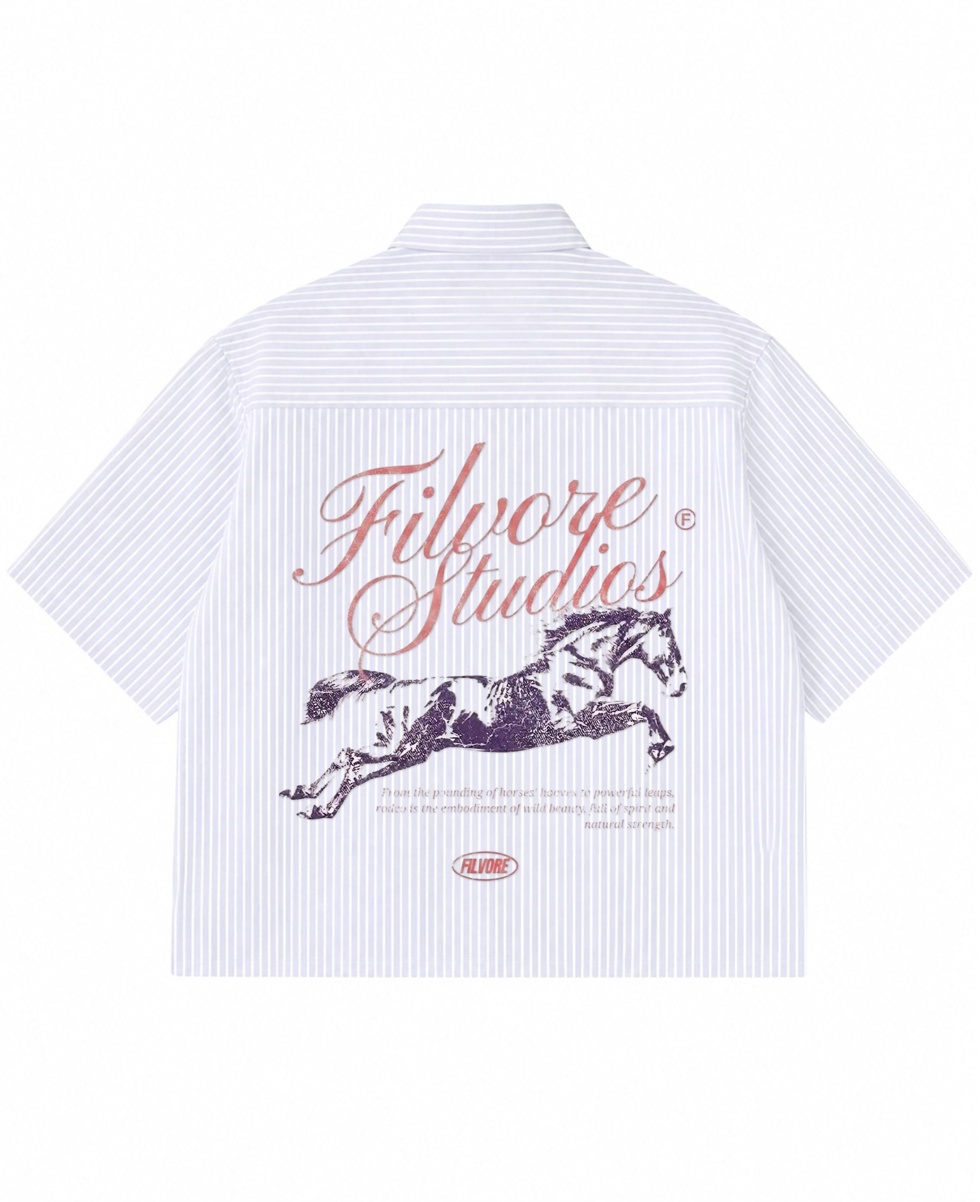 Blue Striped Oxford Boxy Shirt Back Design