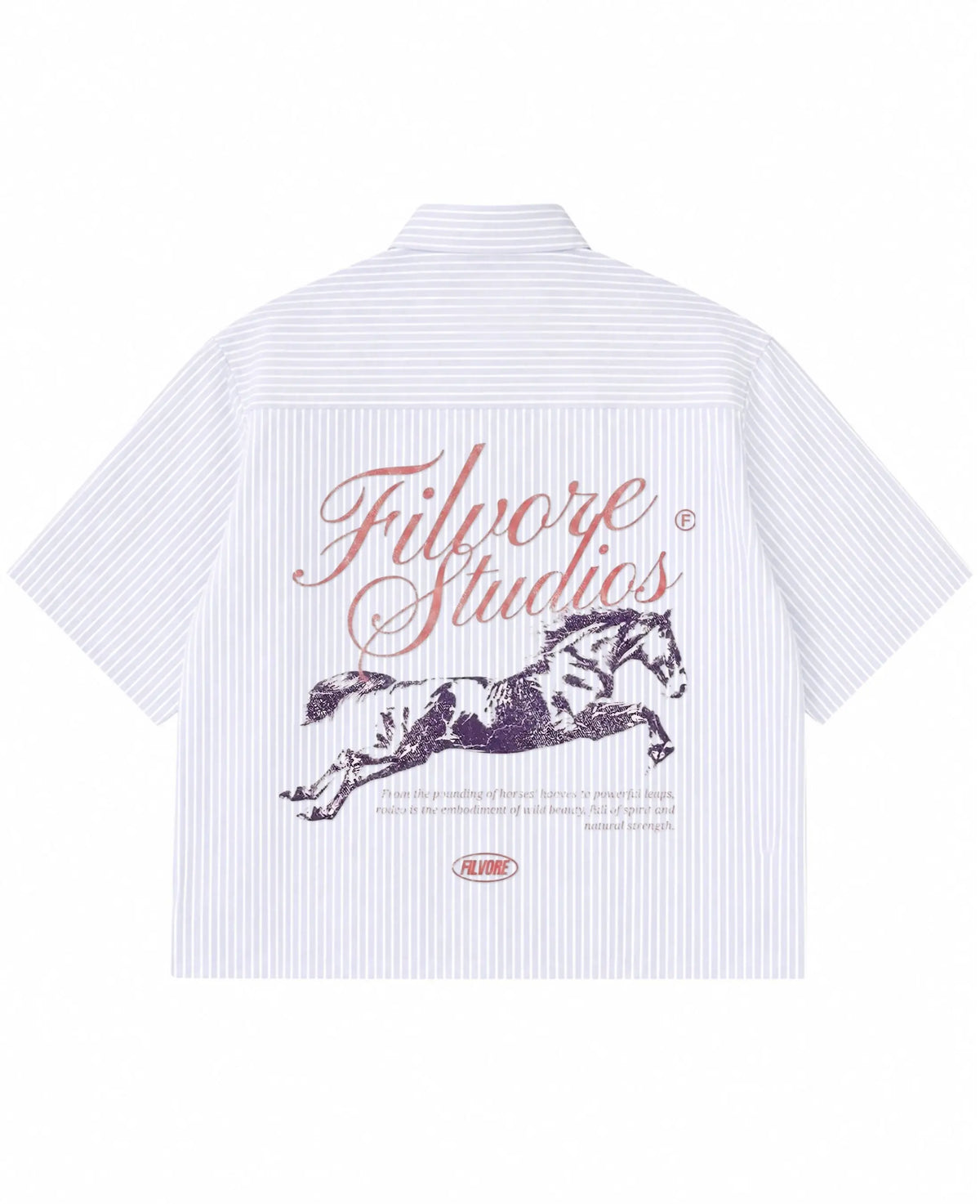 Blue Striped Oxford Boxy Shirt Back Design